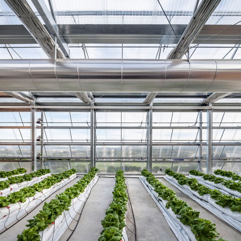 dp_1102_DHivernacle07