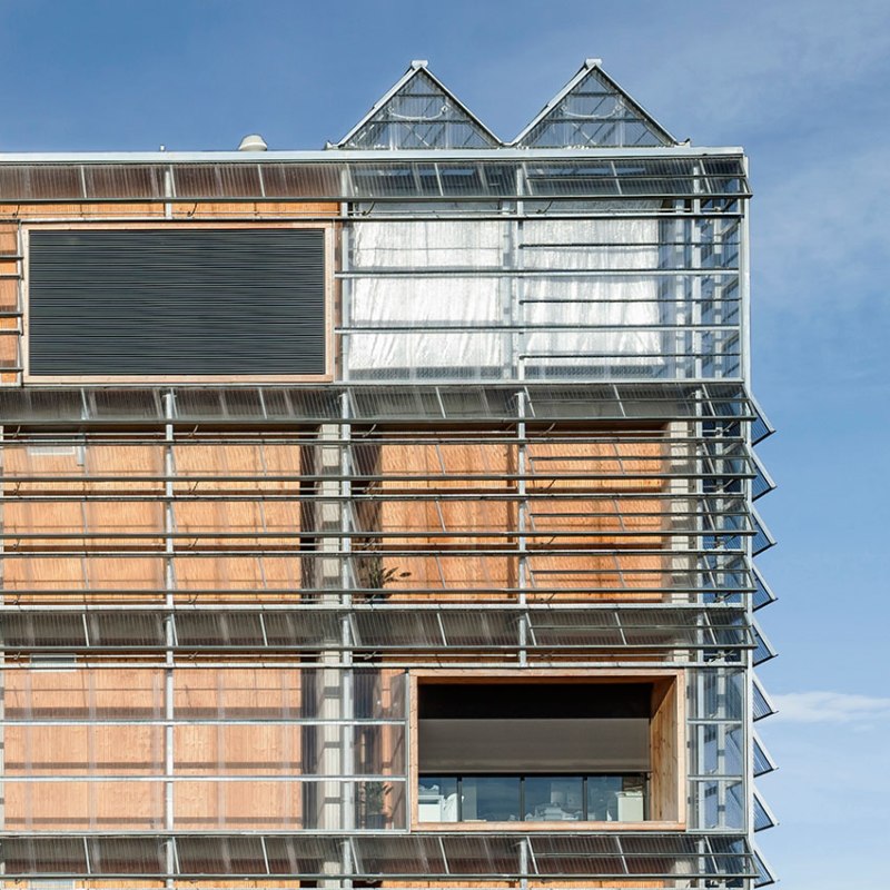 dp_1102_DHivernacle09